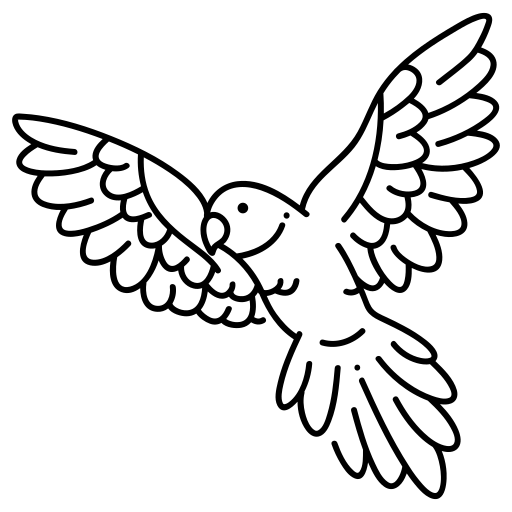 Perruche