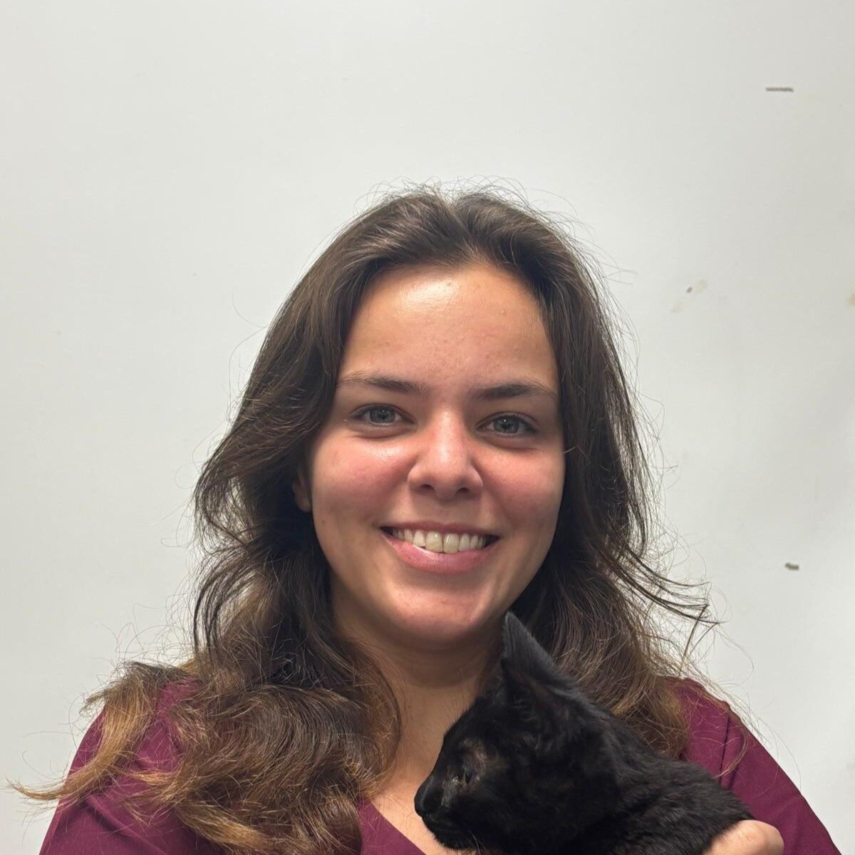 CC425DDB-4014-4338-9CEC-AF2A5563F8BE