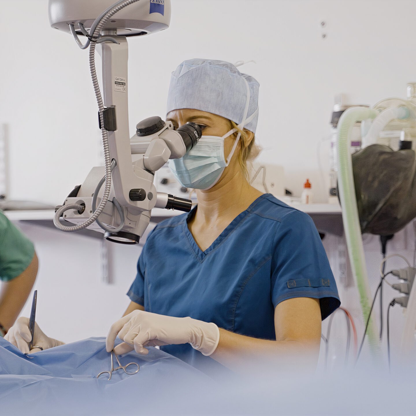 Ophtalmologie vétérinaire perpignan 2 Ophtalmologie vétérinaire perpignan 2